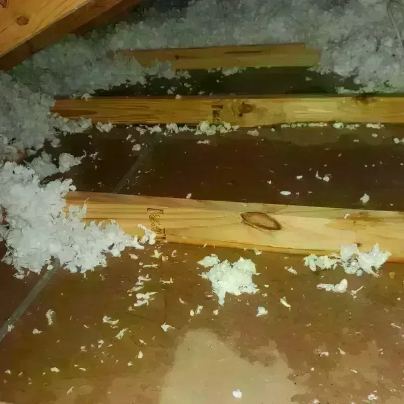 Attic Water Damage in Martin County, MN