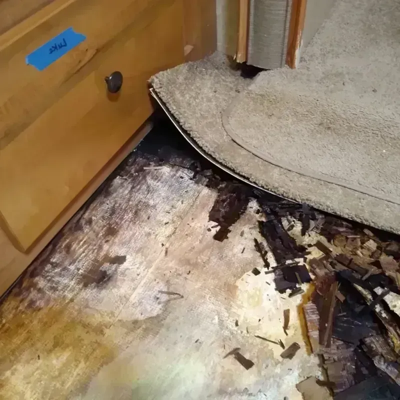 Wood Floor Water Damage in Martin County, MN